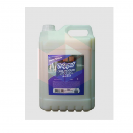 Cera Incolor Troppel 5 Litros