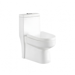 Bacia com caixa acoplada Br Monobloco GD-1221 good