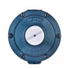 Regulador De Gas 506/03 7kg/h Azul - ALIANÇA - 1