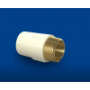 Conector Aquatherm 22x1/2 - TIGRE - 1